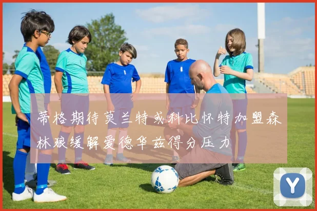 蒂格期待莫兰特或科比怀特加盟森林狼缓解爱德华兹得分压力